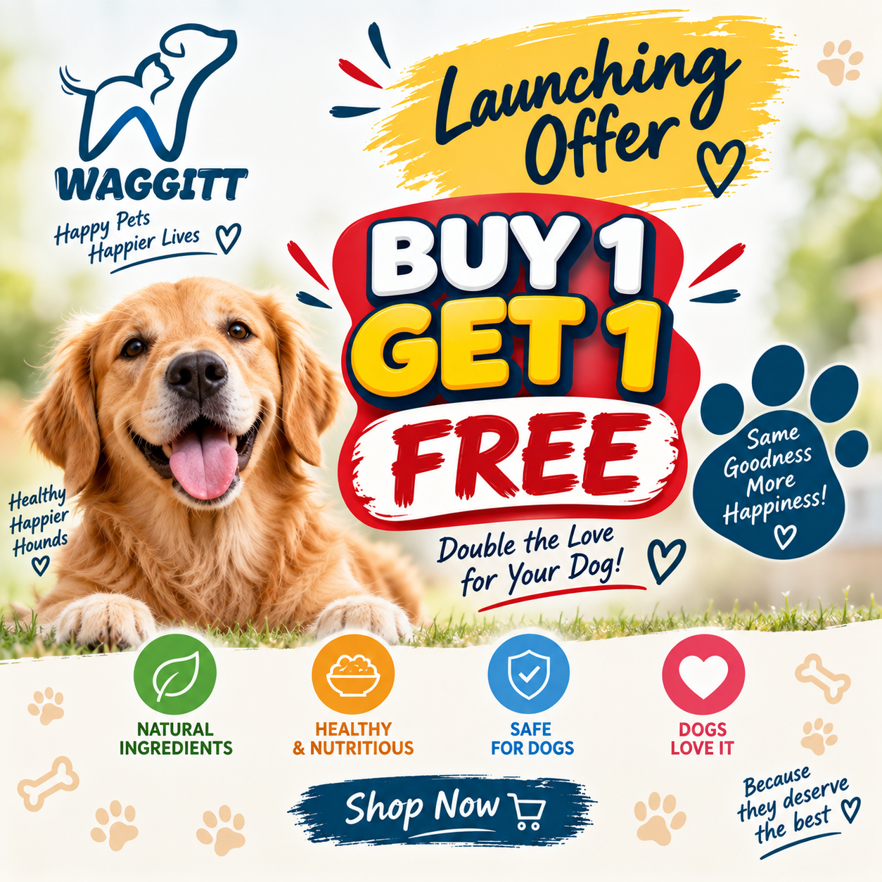 Waggitt Buy 1 Get 1 Free Offer